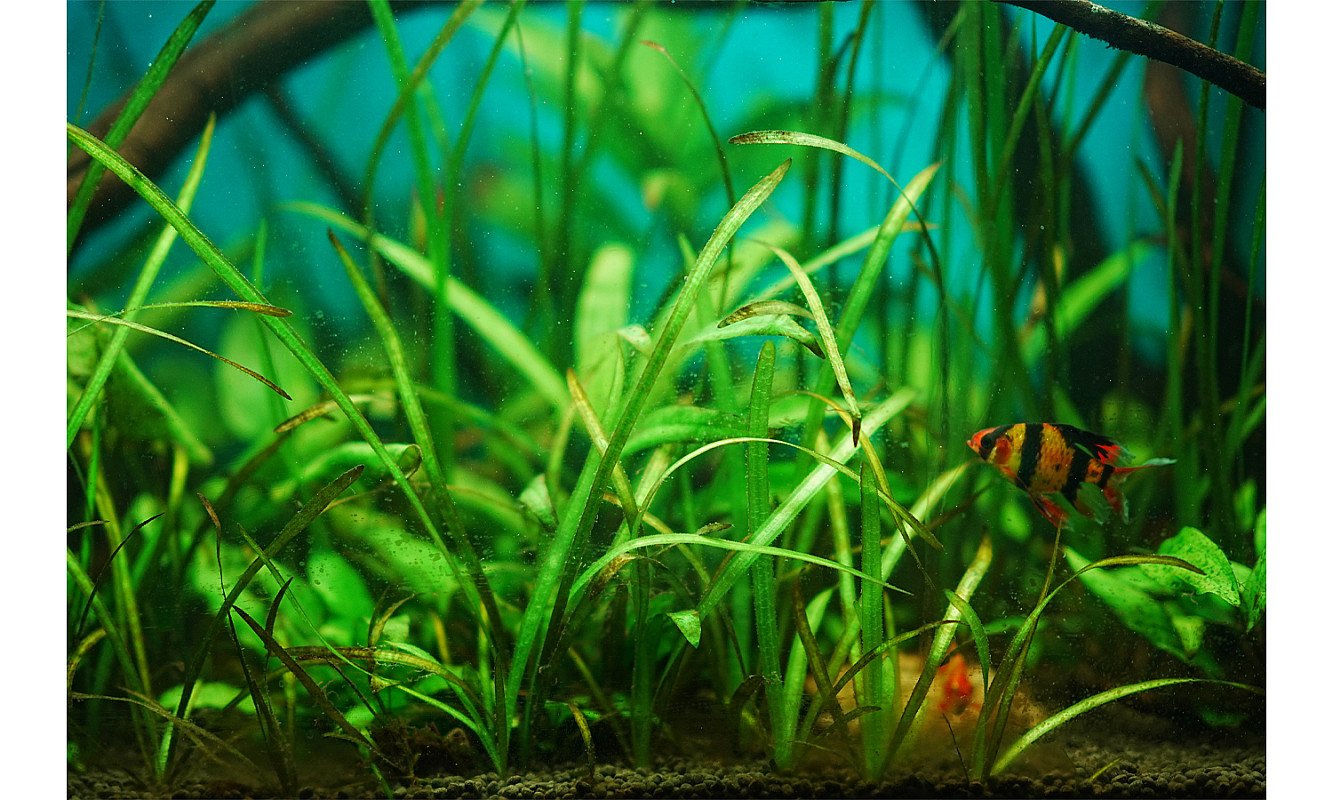 fashion-slideshow-01